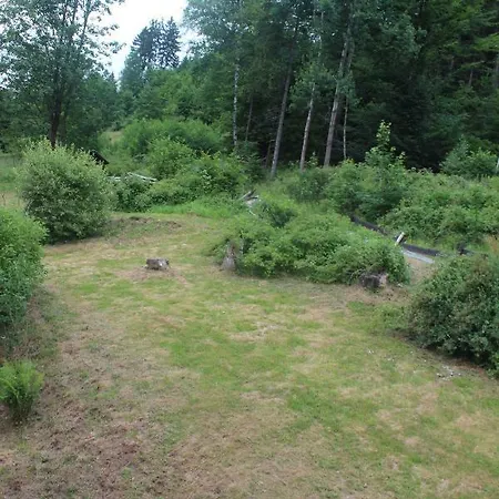 Waldpension Pfeiferhaus 2*