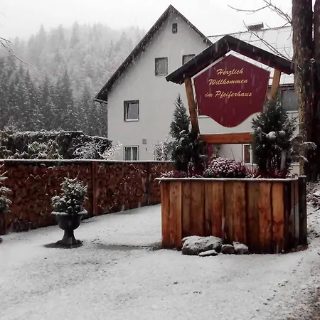 Casa de hóspedes Waldpension Pfeiferhaus 2*