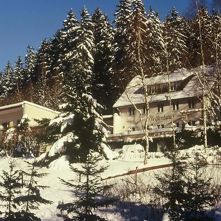 Pensjonat Waldpension Pfeiferhaus Warmensteinach