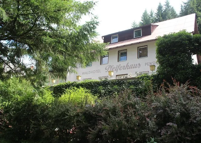 Maison d'hôtes Waldpension Pfeiferhaus 3*
