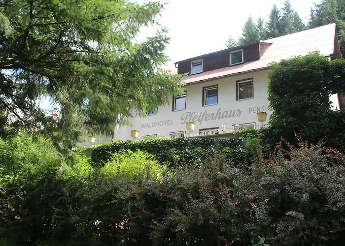 Waldpension Pfeiferhaus