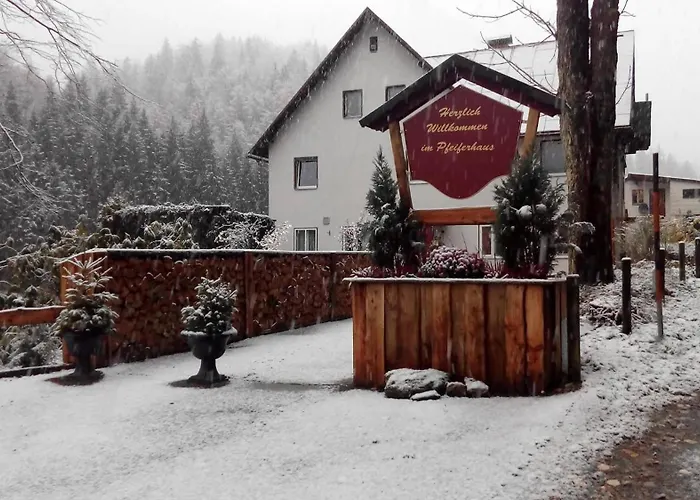 Casa de hóspedes Waldpension Pfeiferhaus 3*