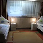 Waldpension Pfeiferhaus 3* Warmensteinach