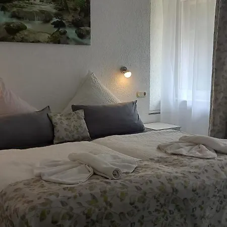 Waldpension Pfeiferhaus Gasthof 2*