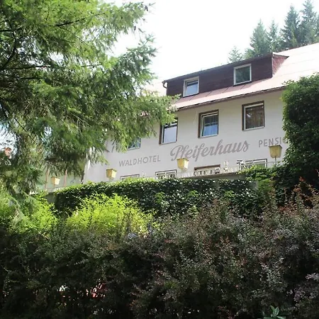 Vendégház Waldpension Pfeiferhaus 3*