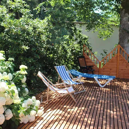 Waldpension Pfeiferhaus ורמנסטיינאך