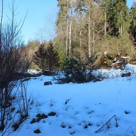 Waldpension Pfeiferhaus Vendégház 3*