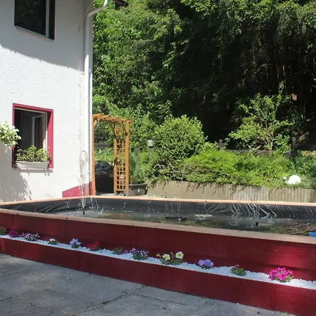Waldpension Pfeiferhaus 3* ורמנסטיינאך