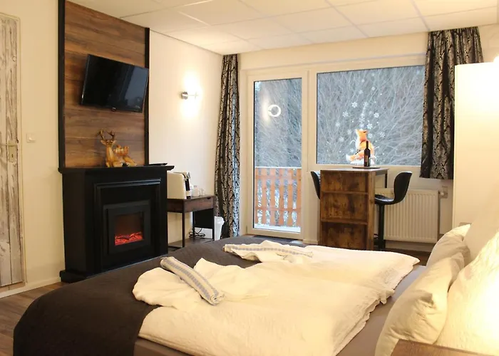 Waldpension Pfeiferhaus 3* فأرمينشتآينآخ