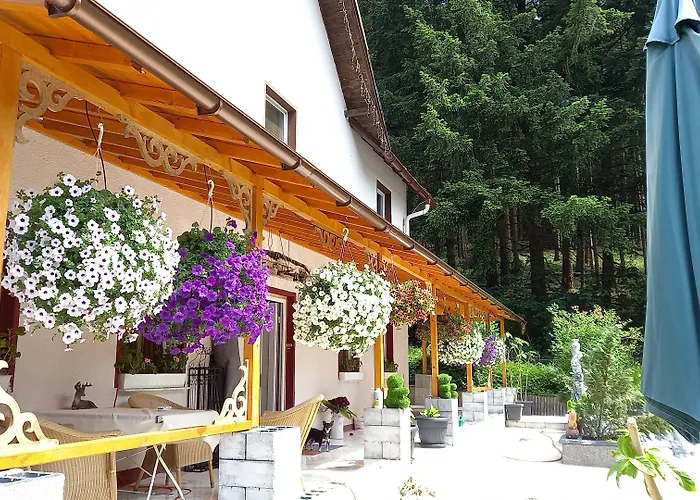 Waldpension Pfeiferhaus بيت ضيافة 3*