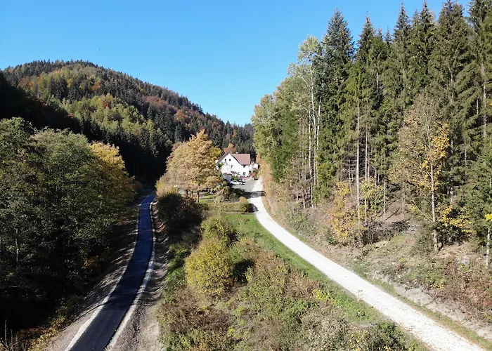Waldpension Pfeiferhaus بيت ضيافة