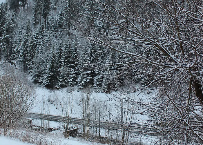 Waldpension Pfeiferhaus Warmensteinach