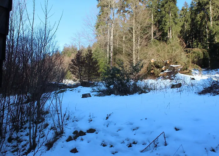 Waldpension Pfeiferhaus بيت ضيافة 3*