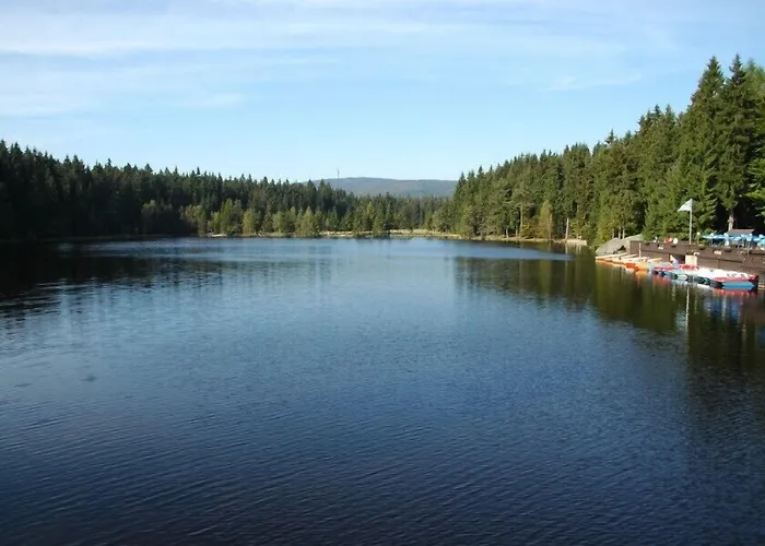Waldpension Pfeiferhaus بيت ضيافة فأرمينشتآينآخ